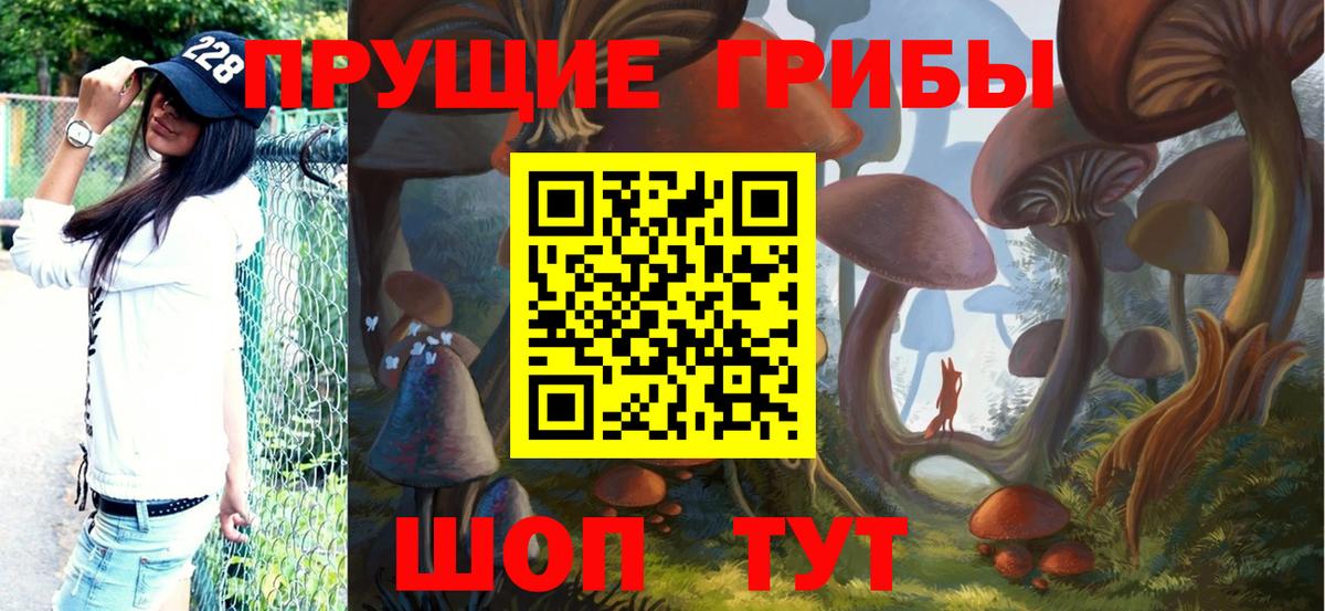 закладки  Вход с VPN  Нефтекамск  Псилоцибиновые грибы ЛСД 